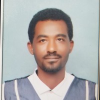 Tolu Negeri
