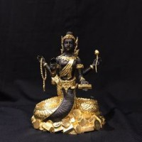 Terng Pathurmavug