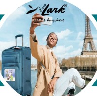 LARK LUGGAGE