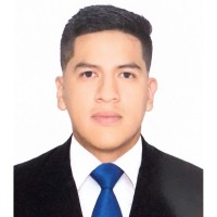 CRISTIAN JESUS CASTRO GAMBOA