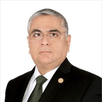 Dr. Martín Virgilio Bravo Peralta