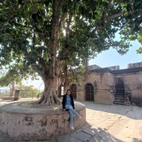 Alveera Naaz Siddiqui