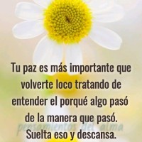 Gaby J. Levano Pachas
