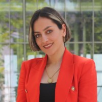 Elnaz Hamidi
