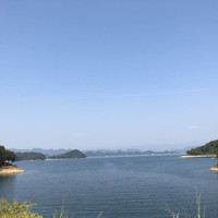 朱蕾丹
