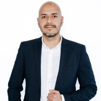 Luis Pineda Villegas