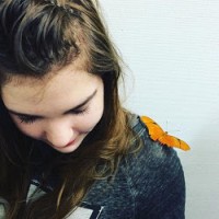 Havilah Geib