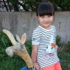 Wu Yufang