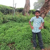 Ilaya Raja