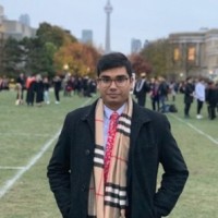 Adeel Fareed