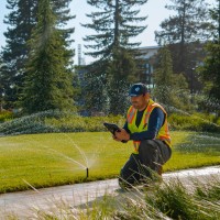 Gothic Landscape Team