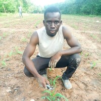 Bakary Traoré