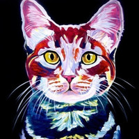 Кирилл Терещенко