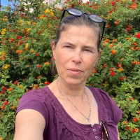 Alison Harwood-Dewalle