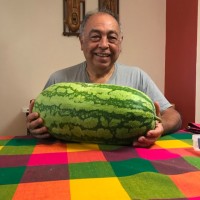 Robert Morales