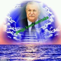 عماد القريشي