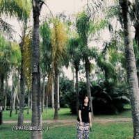 Norah Wang