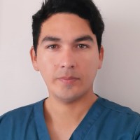 Mauricio ignacio Castro Silva