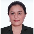 Yesi Montero Perez