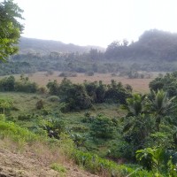 Lavenia Foiakau