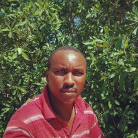 Collins Ngatia
