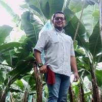 Miguel Antonio Mora Mackensen