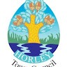 Town Clerk