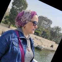 Abeer Elsheal