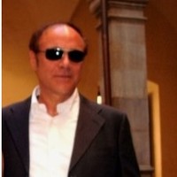 Mauro Losi