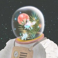 耿雪丹