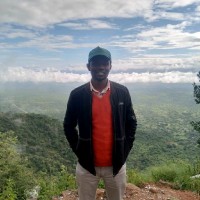 David Nandi