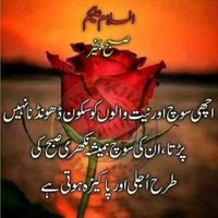 Furqan Saqib