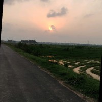 Pintu Rana