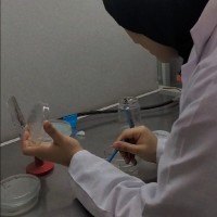 Walaa Alaa