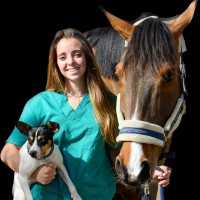 Ariadna Aliberch Aymar