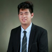 Vincent David