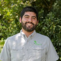 Javier Vergara Aravena