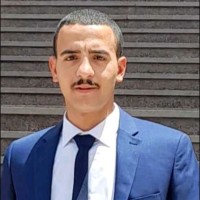 Hamed Gamil