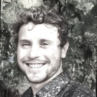 Lorenzo Cocuzza
