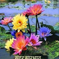 Manoj Lokhande