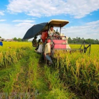 Agriglobal Village