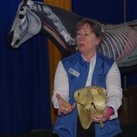 Gayle Ecker