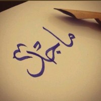 Majid Alanzi