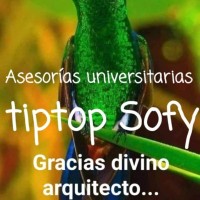 Asesorias Educativas Tiptop Sofy
