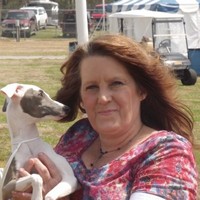kim saul