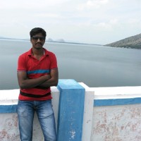 Raman Subramani