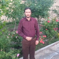 MohammadReza Sadeghi