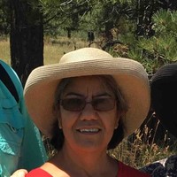 Ann Stefonowicz