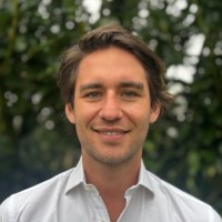 Max David