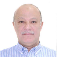 Alaa Emad Eldin